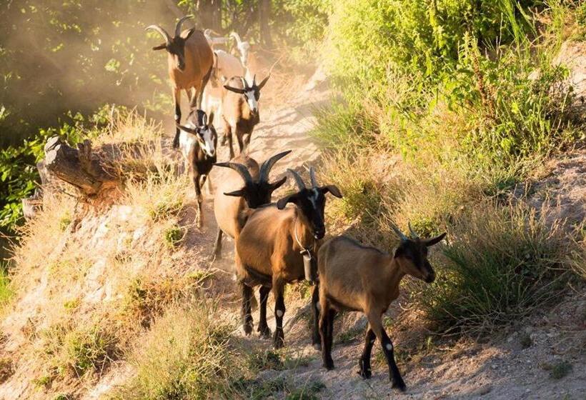 בית מלון כפרי La Locanda Del Poeta
