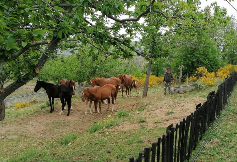 בית מלון כפרי La Locanda Del Poeta