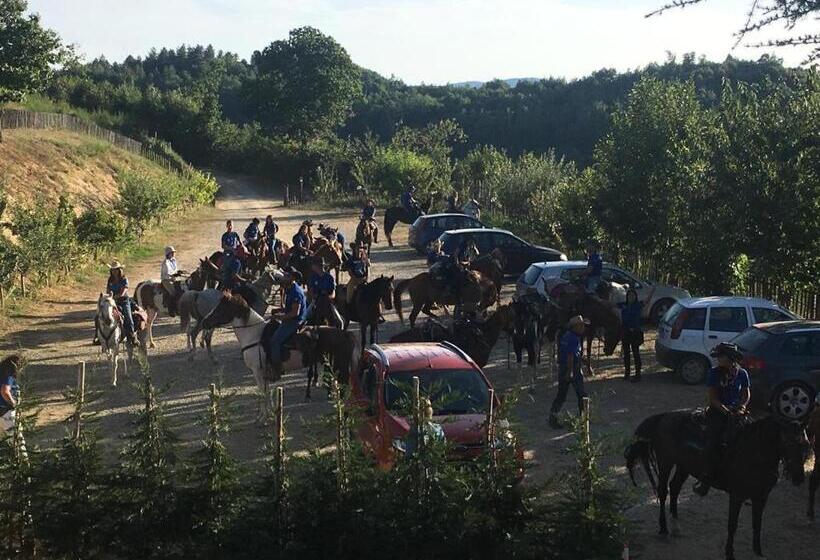 בית מלון כפרי La Locanda Del Poeta