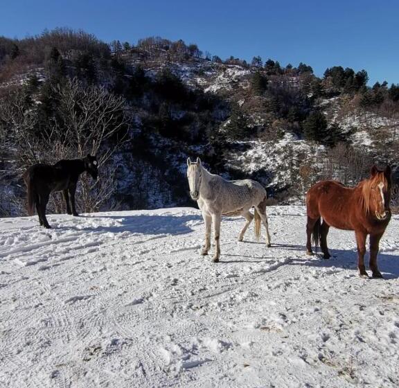 בית מלון כפרי La Locanda Del Poeta