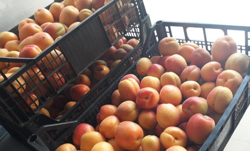 فندق Le Bottesele