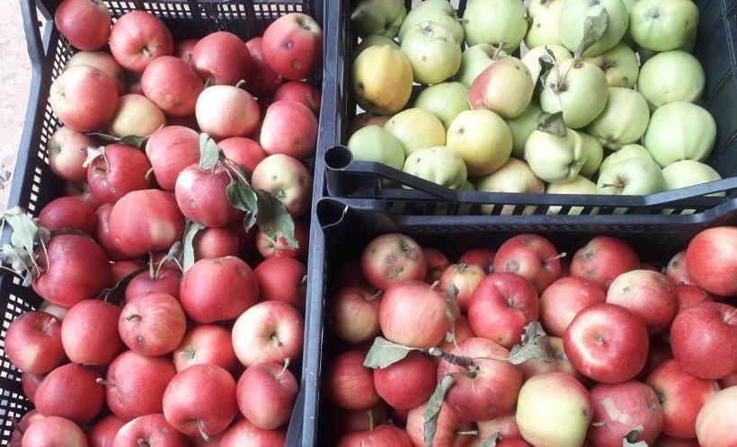 فندق Le Bottesele