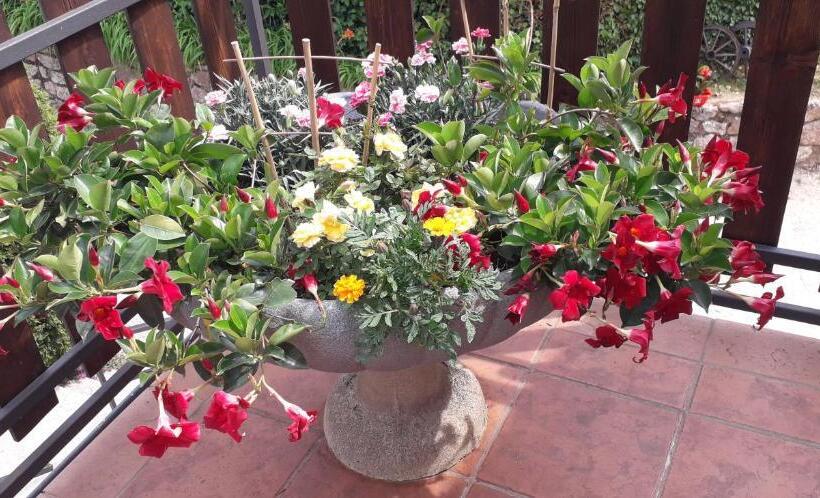 فندق Le Bottesele