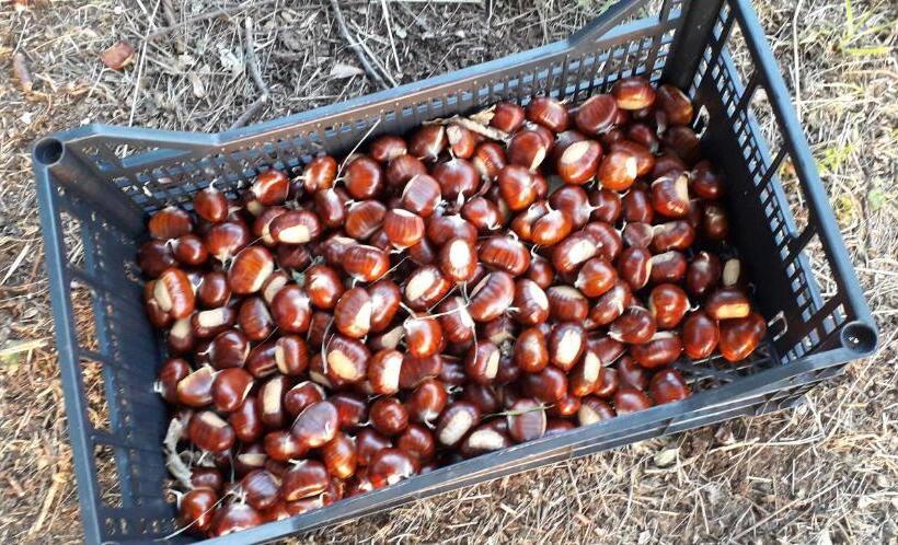 فندق Le Bottesele