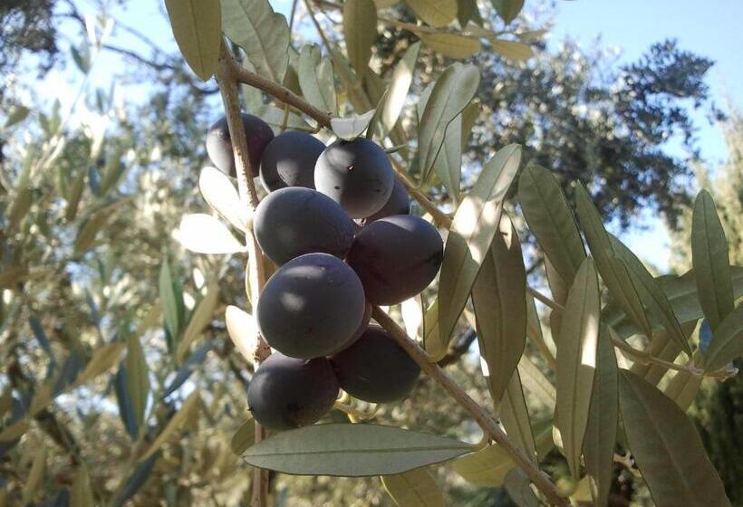 فندق Le Bottesele