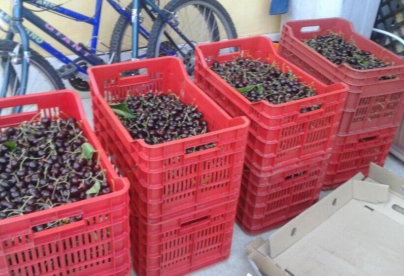 فندق Le Bottesele