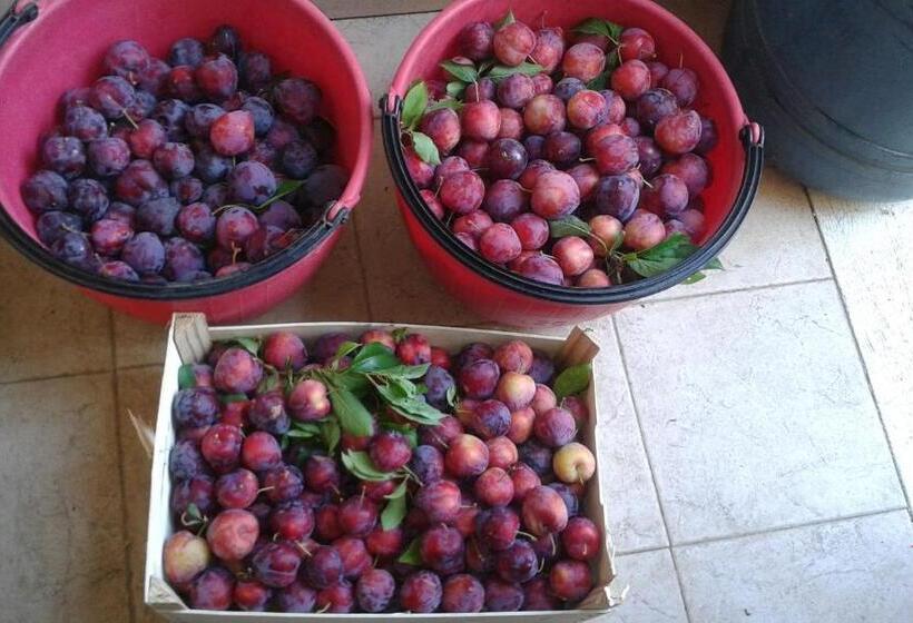 فندق Le Bottesele