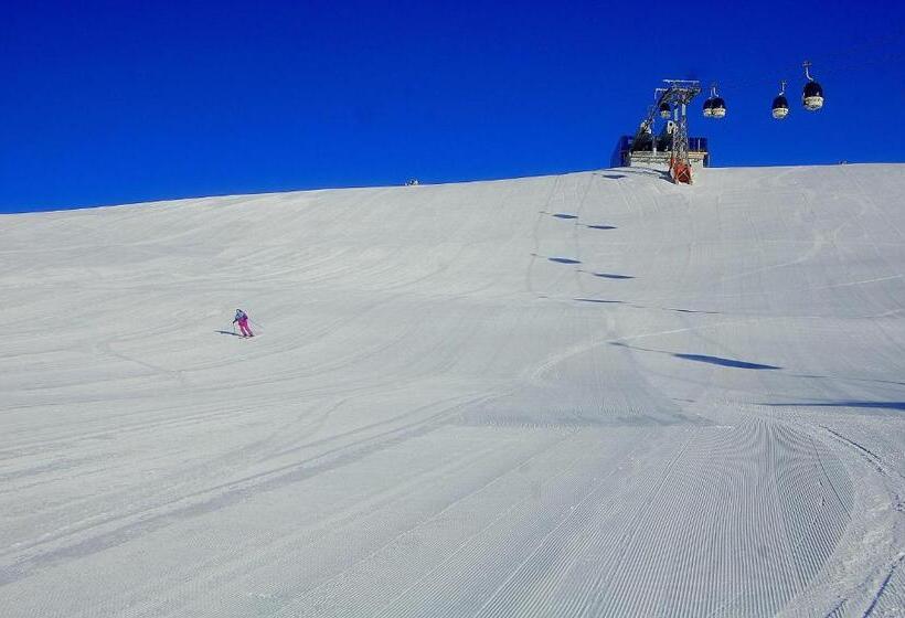 호텔 Niedermairhof