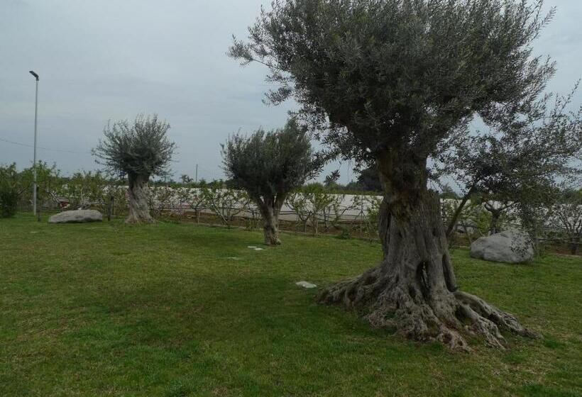 ホテル Palazzo Rosso