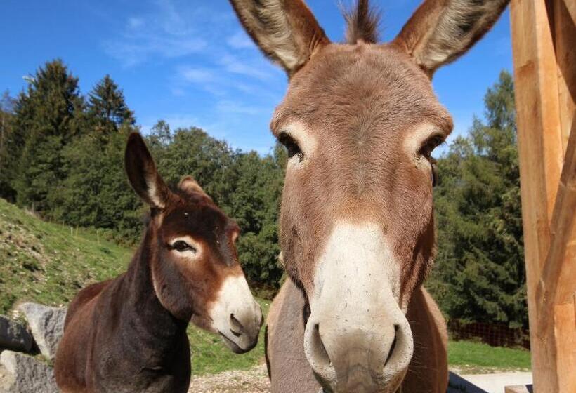 Отель Residenz Erschbaum