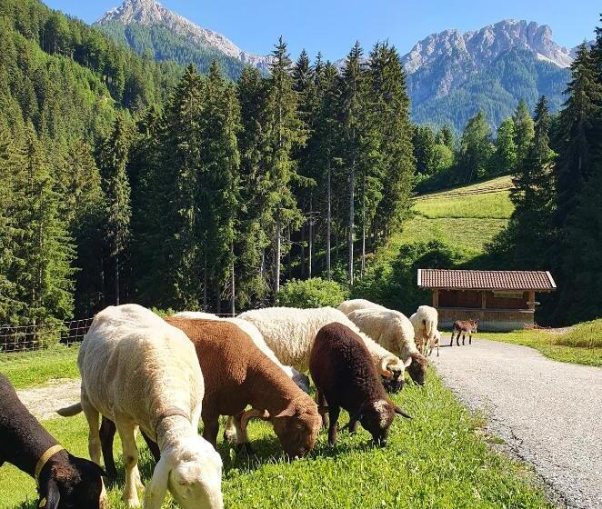 Отель Residenz Erschbaum