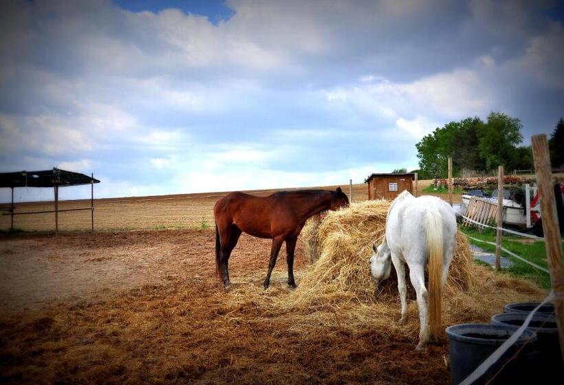 فندق Rustico Del Conero