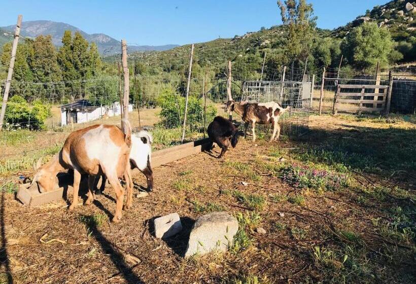 فندق S Imbragu Farm B&b