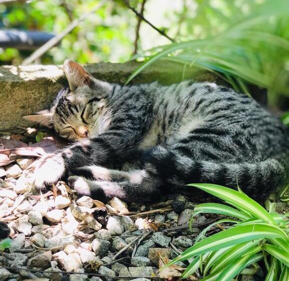 فندق S Imbragu Farm B&b