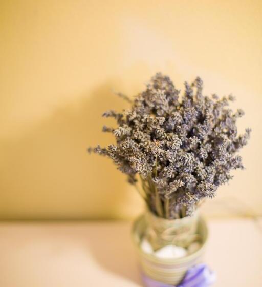 Отель Tenute Costadoria