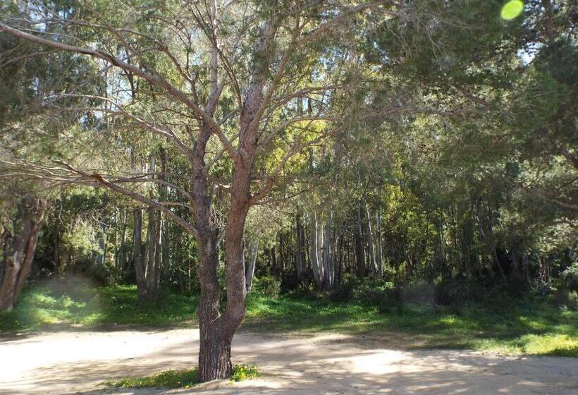 פנסיון Meravisola Costa Rei