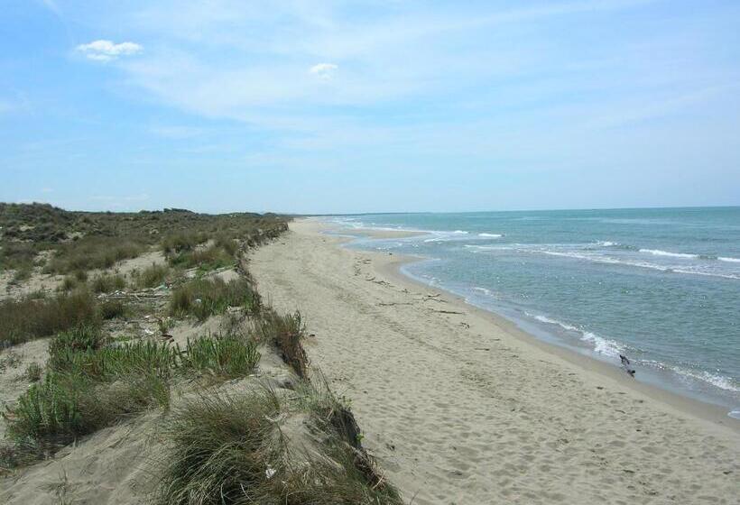 膳宿费 My Room Roma