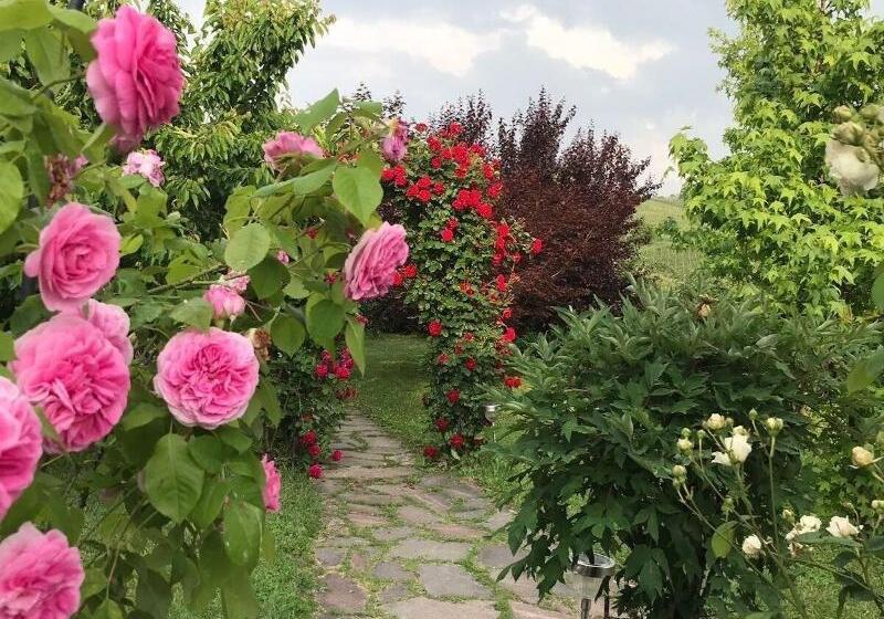 פנסיון Residence Delle Rose