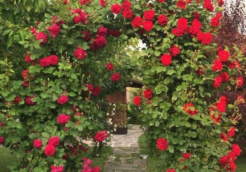بنسيون Residence Delle Rose