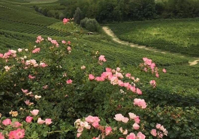 פנסיון Residence Delle Rose