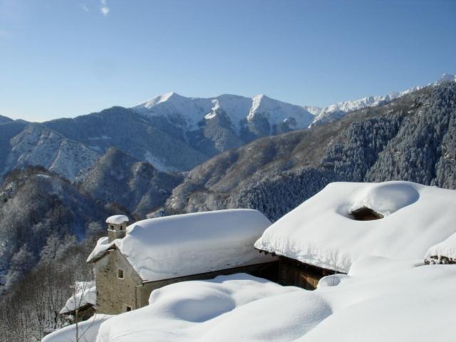 פנסיון Walser House