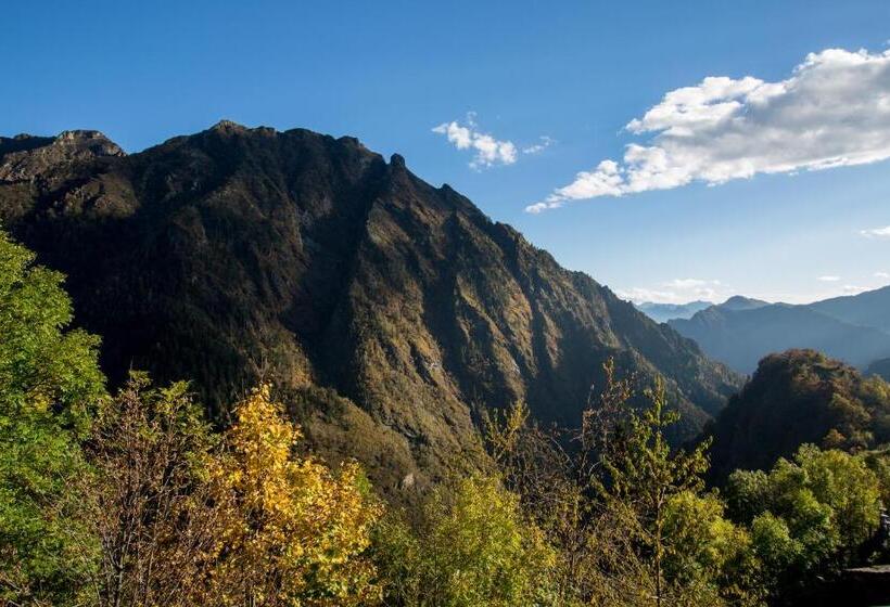 פנסיון Walser House