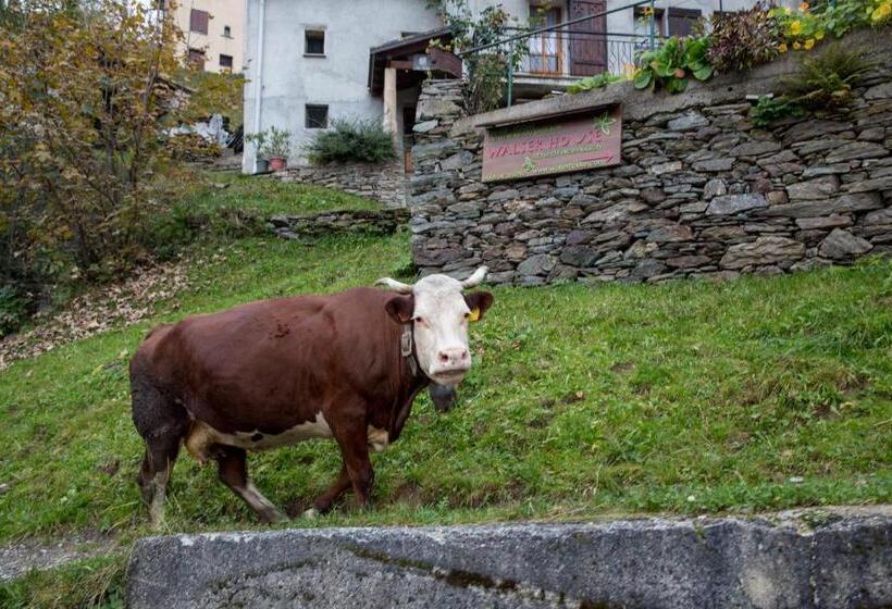 פנסיון Walser House