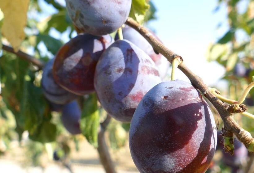 Residence Colle Veroni