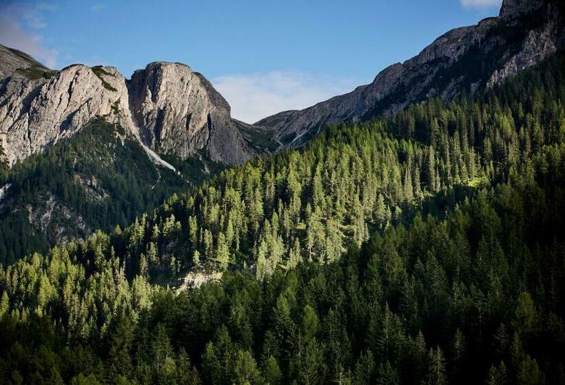 旅馆 Berggasthof Trattes