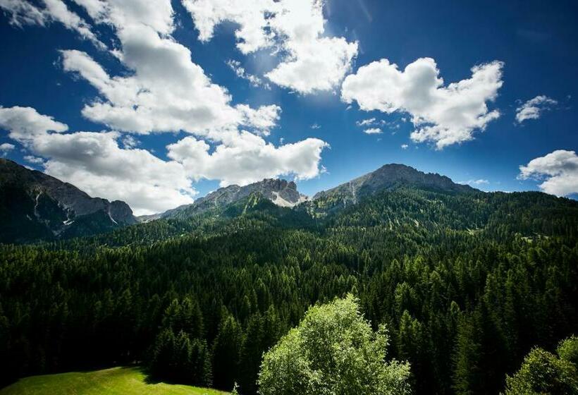 旅馆 Berggasthof Trattes