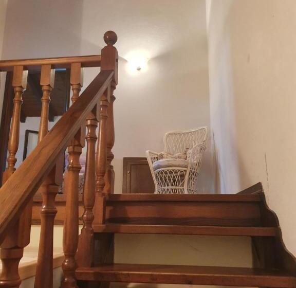 ユースホステル Mamma Teresa