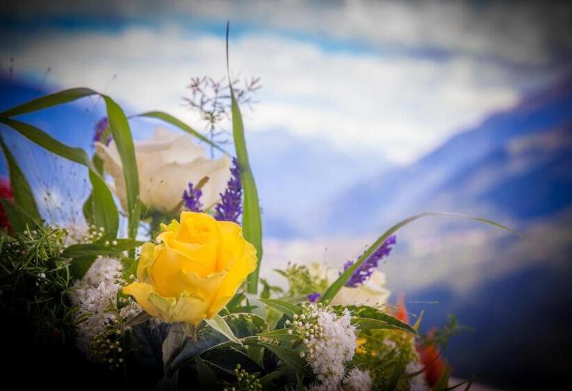 Appartements Verdinserhöhe