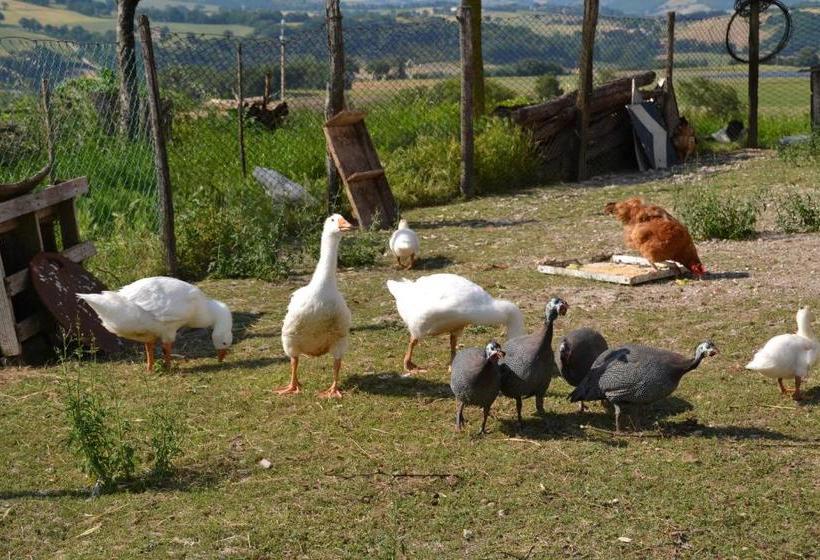 בית מלון כפרי Agriturismo Antico Muro