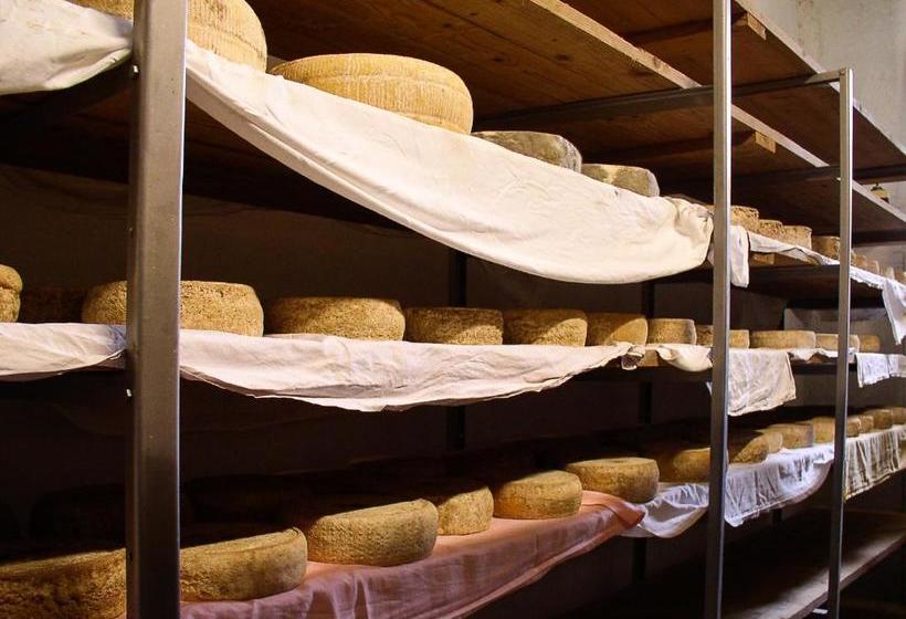 ホテル Agriturismo Barba Gust