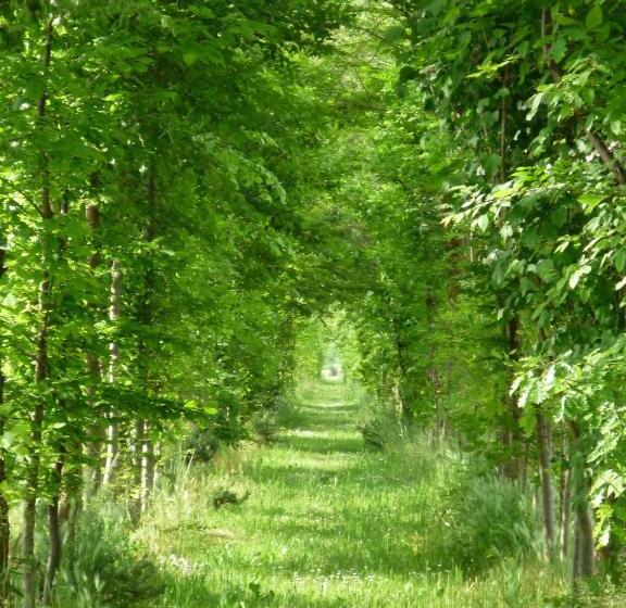 בית מלון כפרי Agriturismo Ca' Marcello