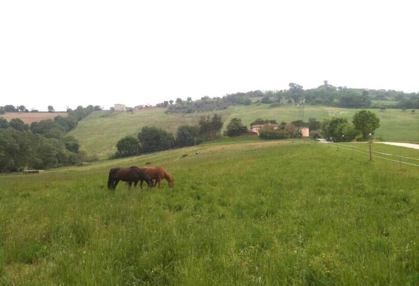 فندق Agriturismo Casale Il Gallo Bianco