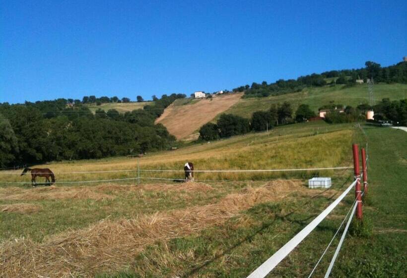 فندق Agriturismo Casale Il Gallo Bianco