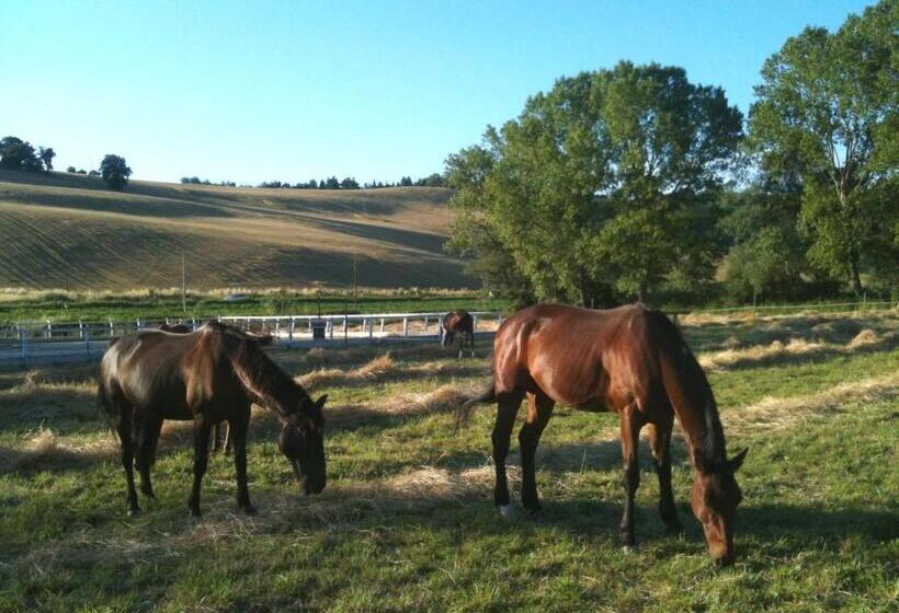 فندق Agriturismo Casale Il Gallo Bianco