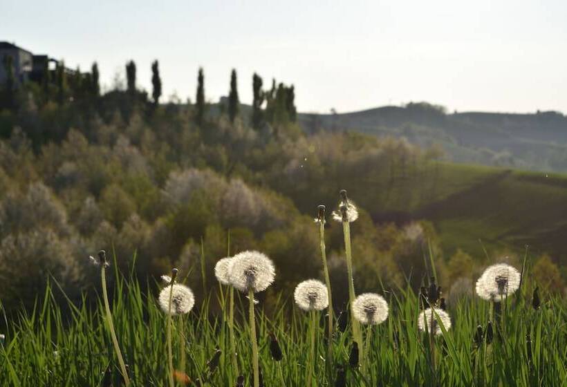 Отель Agriturismo Casamatilda