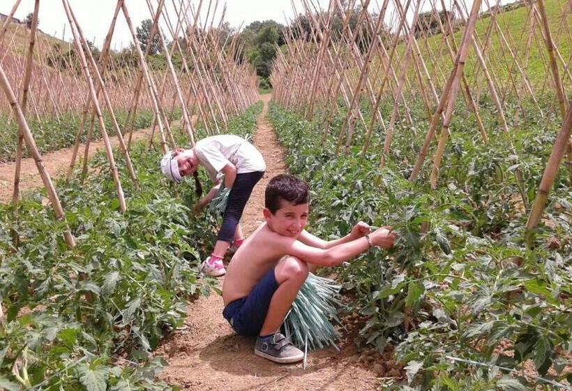 בית מלון כפרי Agriturismo Cignale