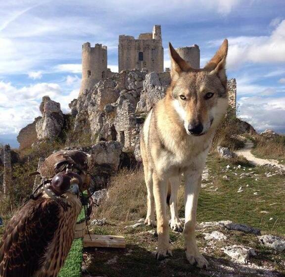 בית מלון כפרי Agriturismo Cignale