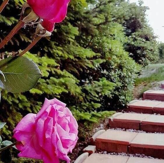 هتل Agriturismo Fattoria Le Origini