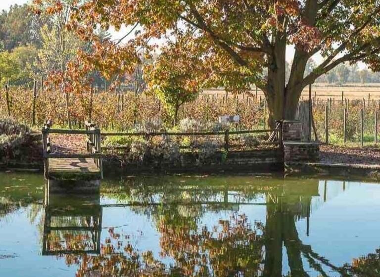 בית מלון כפרי Agriturismo I Leprotti