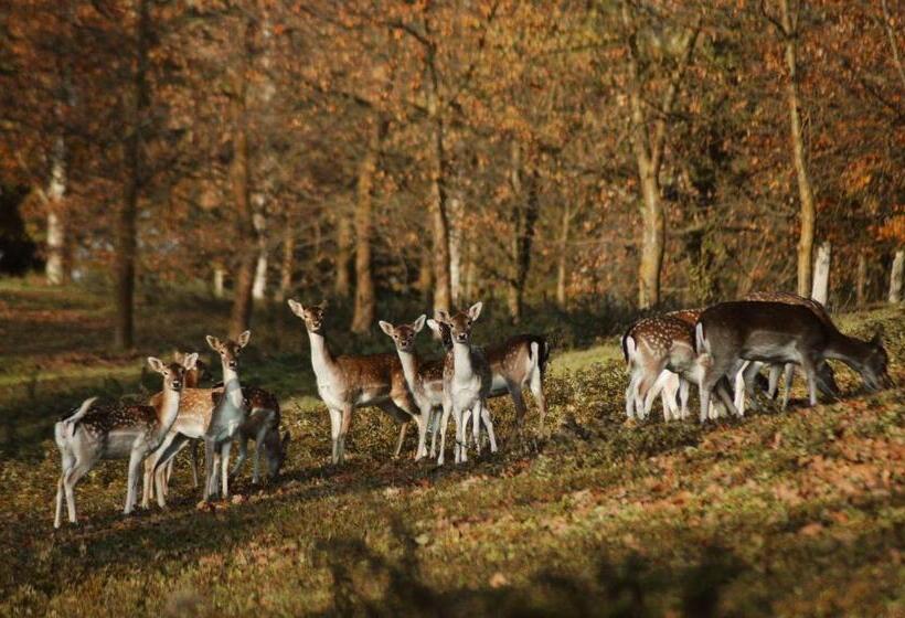 בית מלון כפרי Agriturismo I Leprotti