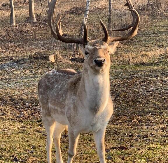בית מלון כפרי Agriturismo I Leprotti