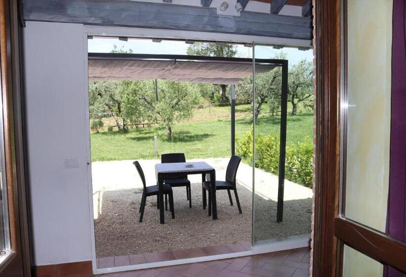 ホテル Agriturismo Il Bagolaro