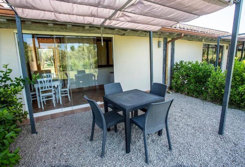 ホテル Agriturismo Il Bagolaro