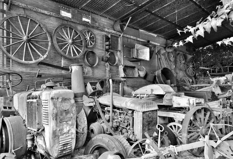 Отель Agriturismo Il Giardino