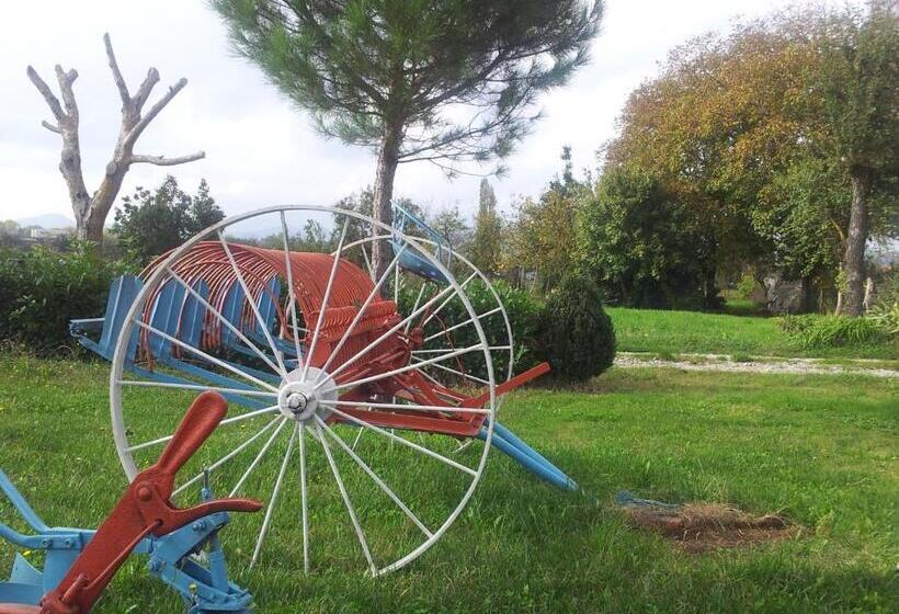 Отель Agriturismo Il Giardino