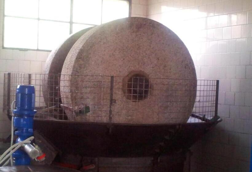 Отель Agriturismo Il Giardino